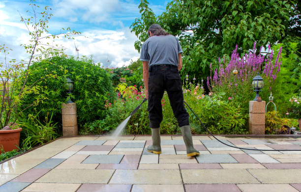 Best Animal Enclosure Cleaning  in Mercedes, TX
